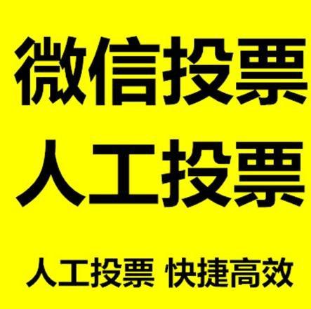 日喀则市投票活动拉票能被查出来吗？如何操作能不被发现？